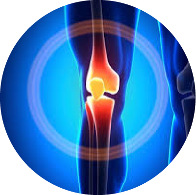 ortopedico visonà patologia ginocchio